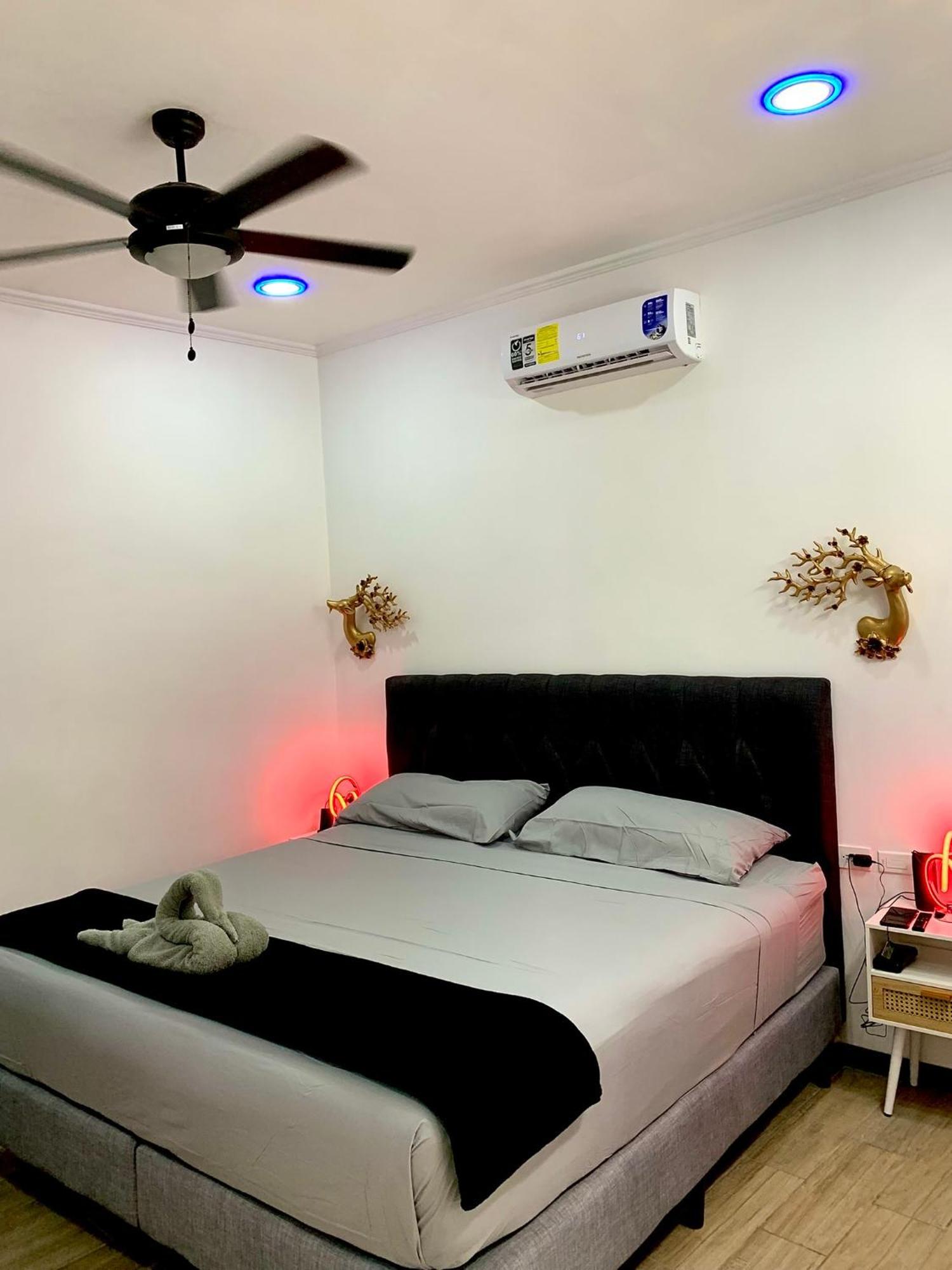 Apartamento H Et L Tortuguero Exterior foto